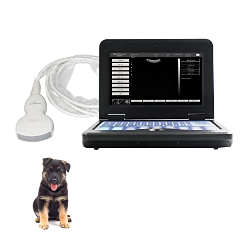 Transportable Vet Veterinary B-Ultrasound Scanner