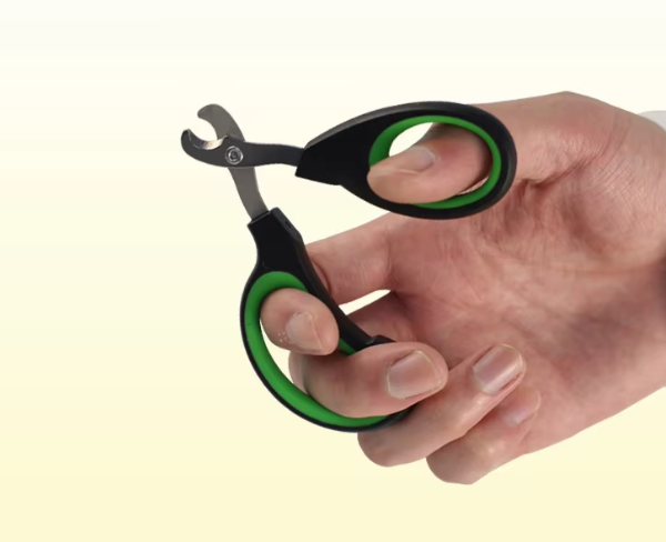 Professional Cat Nail Scissors designed for safe and efficient nail trimming, featuring a skid-resistant handle and stainless steel blades, suitable for small pets.